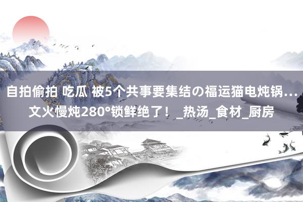 自拍偷拍 吃瓜 被5个共事要集结の福运猫电炖锅…文火慢炖280°锁鲜绝了！_热汤_食材_厨房