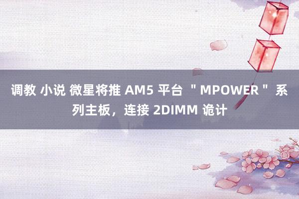 调教 小说 微星将推 AM5 平台 ＂MPOWER＂ 系列主板，连接 2DIMM 诡计