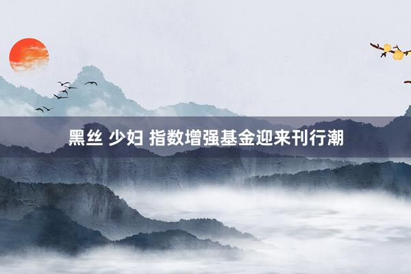 黑丝 少妇 指数增强基金迎来刊行潮