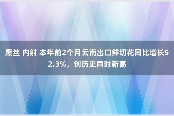 黑丝 内射 本年前2个月云南出口鲜切花同比增长52.3%，创历史同时新高