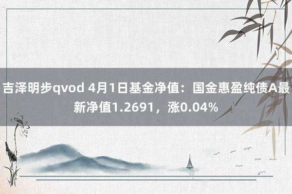 吉泽明步qvod 4月1日基金净值：国金惠盈纯债A最新净值1.2691，涨0.04%