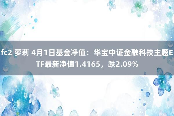 fc2 萝莉 4月1日基金净值：华宝中证金融科技主题ETF最新净值1.4165，跌2.09%