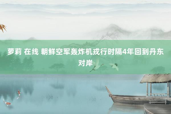 萝莉 在线 朝鲜空军轰炸机戎行时隔4年回到丹东对岸