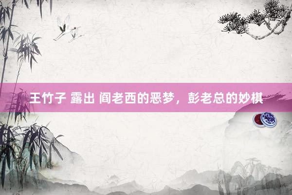 王竹子 露出 阎老西的恶梦，彭老总的妙棋