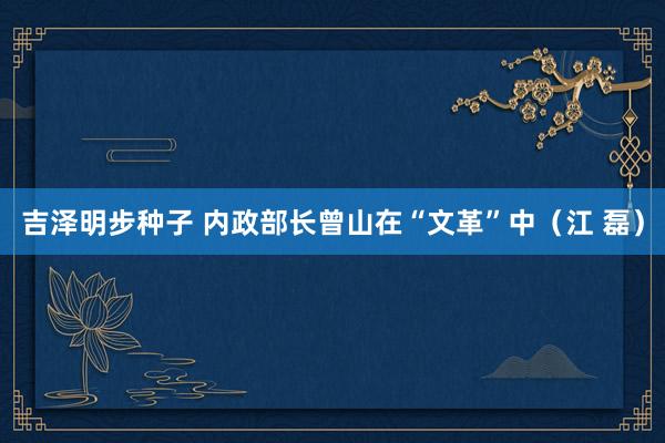 吉泽明步种子 内政部长曾山在“文革”中（江 磊）