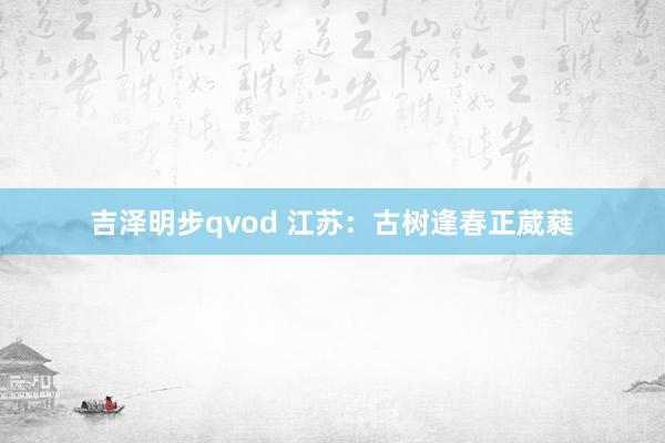 吉泽明步qvod 江苏：古树逢春正葳蕤