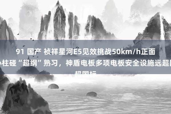 91 国产 祯祥星河E5见效挑战50km/h正面中心柱碰“超纲”熟习，神盾电板多项电板安全设施远超国标