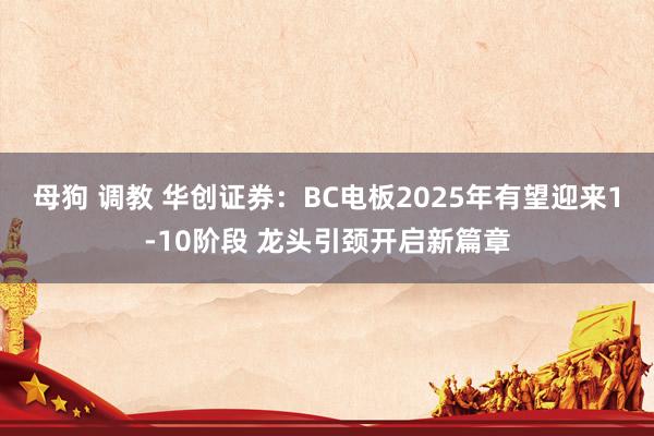 母狗 调教 华创证券：BC电板2025年有望迎来1-10阶段 龙头引颈开启新篇章