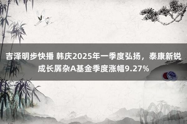 吉泽明步快播 韩庆2025年一季度弘扬，泰康新锐成长羼杂A基金季度涨幅9.27%