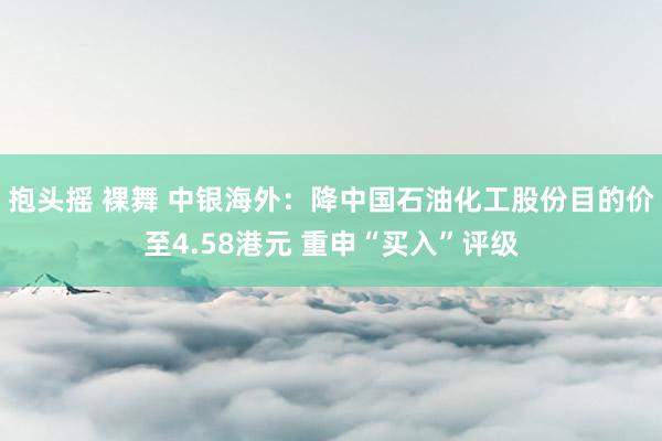 抱头摇 裸舞 中银海外：降中国石油化工股份目的价至4.58港元 重申“买入”评级