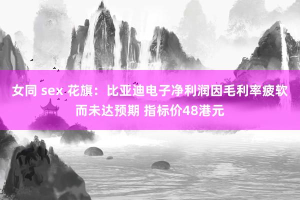 女同 sex 花旗：比亚迪电子净利润因毛利率疲软而未达预期 指标价48港元